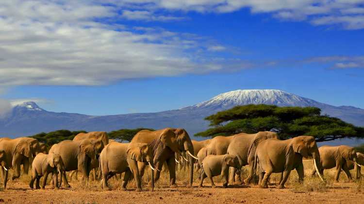 4N/5D Kenya